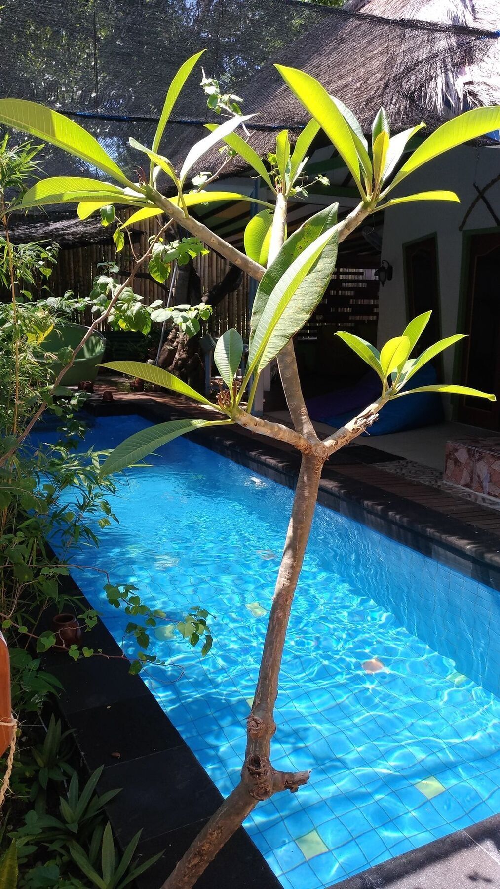 Villa Casa Mio Gili Air Exteriér fotografie